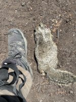 IMG_7504.jpeg