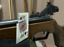 IMG_2181.jpeg