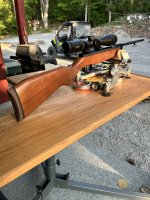 IMG_2312.jpeg