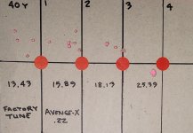 Avenge-X pellet check.jpg