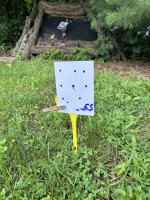 IMG_9243.jpeg