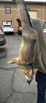 IMG_5812.jpeg