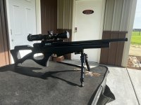 IMG_1198.jpeg