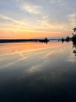 IMG_2320.jpeg