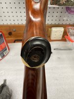 IMG_4286.jpeg