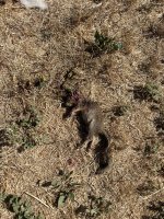 IMG_6748.jpeg