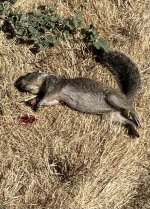 IMG_6756.jpeg