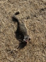 IMG_6734.jpeg