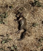 IMG_6760.jpeg
