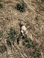 IMG_6758.jpeg