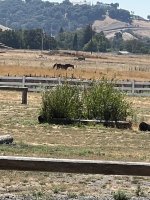 IMG_6754.jpeg