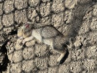 IMG_6767.jpeg