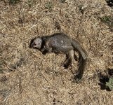 IMG_6765.jpeg
