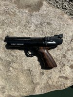 IMG_2396.jpeg