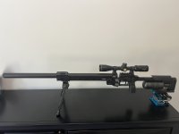 IMG_5183.jpeg