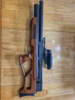 IMG_4705.jpeg