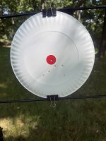 IMG_2040.jpeg