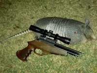 AR6 armadillo.JPG
