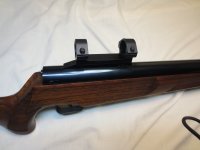 IMG_8277.jpeg