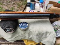 10m,multi,irons,daisy 177,setup.jpg