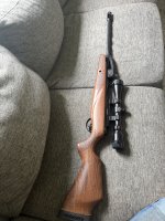 IMG_1033.jpeg