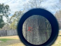 IMG_8718.jpeg