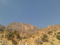 IMG_20170814_101243.jpg