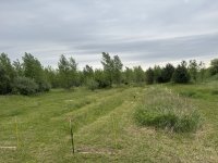 IMG_7626.jpeg