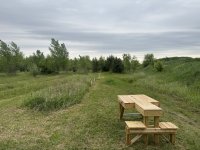 IMG_7625.jpeg