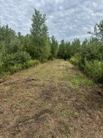 IMG_7906.jpeg
