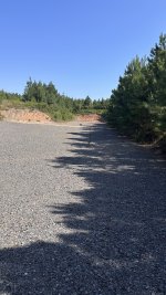 IMG_3989.jpeg