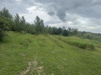 IMG_7939.jpeg