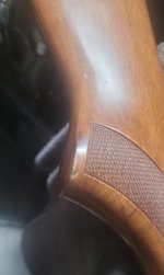 20250726_091218.jpg
