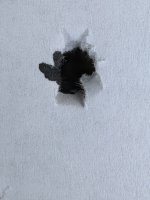 IMG_8653.jpeg