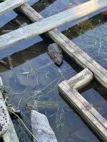 IMG_2510.jpeg