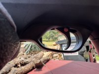 IMG_4383.jpeg