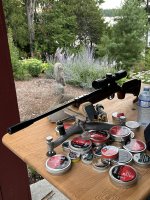IMG_2550.jpeg