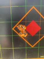 IMG_1378.jpeg
