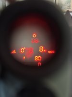 IMG_4297.jpeg