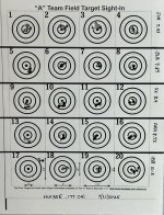 HW35E pellet test at 10M.jpg