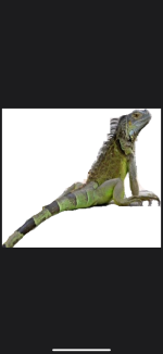 IMG_5125.png