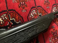 IMG_2946.jpeg