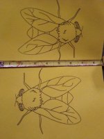 fly size .jpg