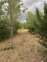 IMG_7861.jpeg