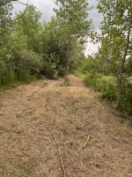 IMG_7860.jpeg