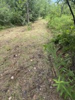IMG_7911.jpeg