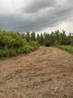 IMG_7862.jpeg