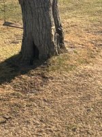 IMG_2608.jpeg