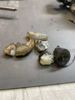 IMG_1146.jpeg