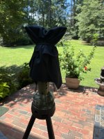 IMG_5902.jpeg